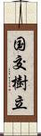 国交樹立 Scroll