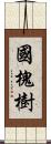 國槐樹 Scroll