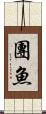團魚 Scroll