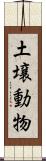 土壌動物 Scroll