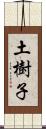 土樹子 Scroll