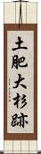 土肥大杉跡 Scroll