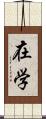 在学 Scroll