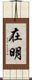 在明 Scroll