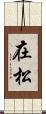 在松 Scroll