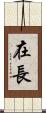 在長 Scroll