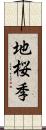 地桜季 Scroll