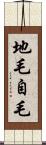 地毛 Scroll