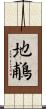 地鵏 Scroll