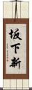 坂下新 Scroll