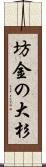 坊金の大杉 Scroll