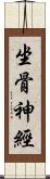 坐骨神經 Scroll