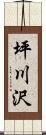 坪川沢 Scroll