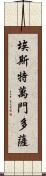 Estevan Mendoza Scroll