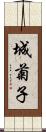 城菊子 Scroll