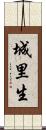 城里生 Scroll