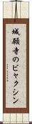 城願寺のビャクシン Scroll