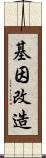 基因改造 Scroll