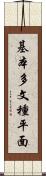 基本多文種平面 Scroll