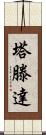 Tatenda Scroll