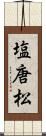 塩唐松 Scroll