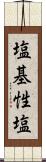 塩基性塩 Scroll