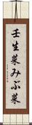 壬生菜 Scroll