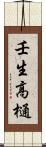壬生高樋 Scroll