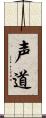 声道 Scroll