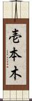 壱本木 Scroll