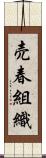 売春組織 Scroll
