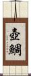 壺鯛 Scroll