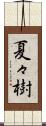 夏々樹 Scroll