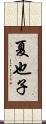 夏也子 Scroll