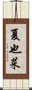 夏也菜 Scroll