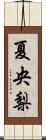 夏央梨 Scroll