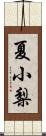 夏小梨 Scroll