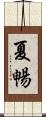 夏暢 Scroll