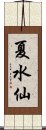 夏水仙 Scroll