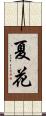 夏花 Scroll
