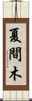 夏間木 Scroll