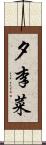 夕李菜 Scroll