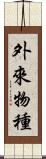 外來物種 Scroll