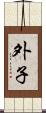 外子 Scroll
