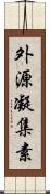 外源凝集素 Scroll