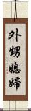 外甥媳婦 Scroll