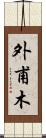 外甫木 Scroll