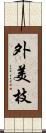 外美枝 Scroll