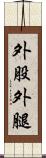 外股 Scroll