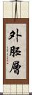 外胚層 Scroll